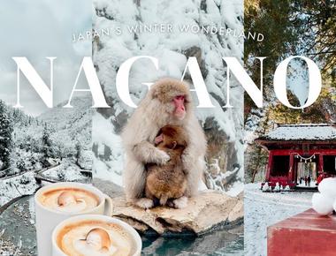 How to Get from Tokyo to Nagano Monkey Park - A Winter Wonderland Trip