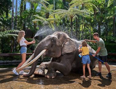 Bali Zoo Elephant Ride - Ethical or Not? What You Should Know