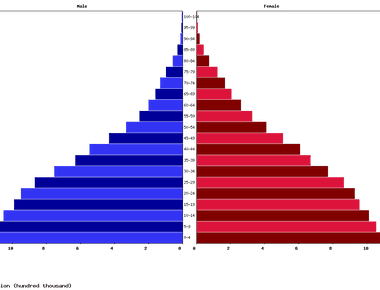 Guatemala’s Population Pyramid Explained-What It Tells Us About the Country