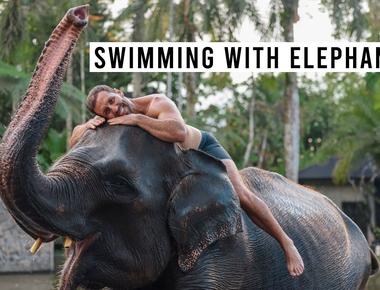 Swim With Elephants in Bali - A Magical Experience You’ll Never Forget
