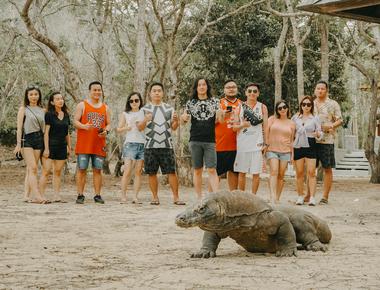 Labuan Bajo to Komodo Island - How to Get There &amp; What to Expect