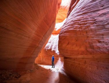 Red Rock Slot Canyon-A Hidden Gem for Desert Adventurers
