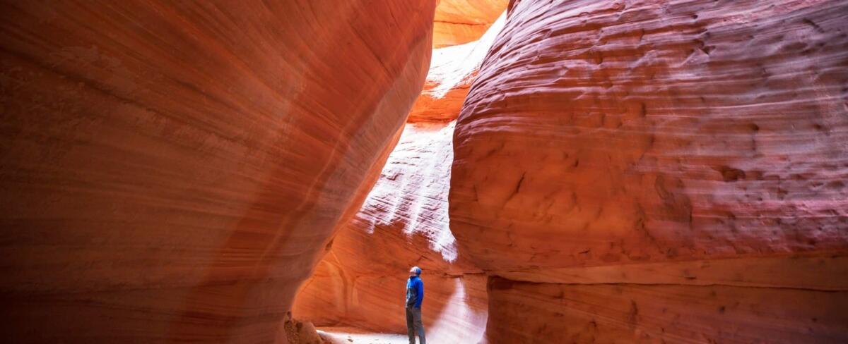 Red Rock Slot Canyon-A Hidden Gem for Desert Adventurers