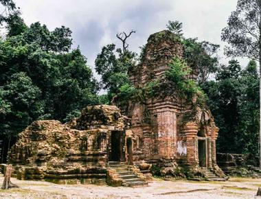 The Mysterious Trees of Angkor Wat - Nature Meets History