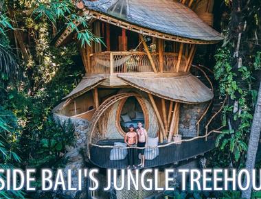 Bali Treehouse Resorts - Stay in the Jungle with Breathtaking Views