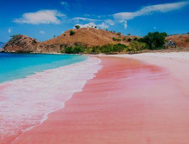 Pink Beach in Labuan Bajo - A Must-Visit Indonesian Wonder