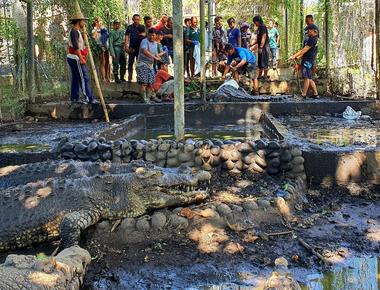Bali Reptile Rescue with Edi - Saving Wildlife in Paradise